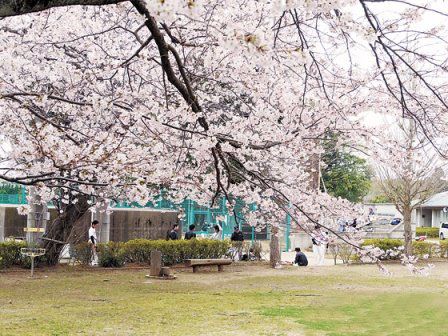 日本留学最具就业潜力的专业